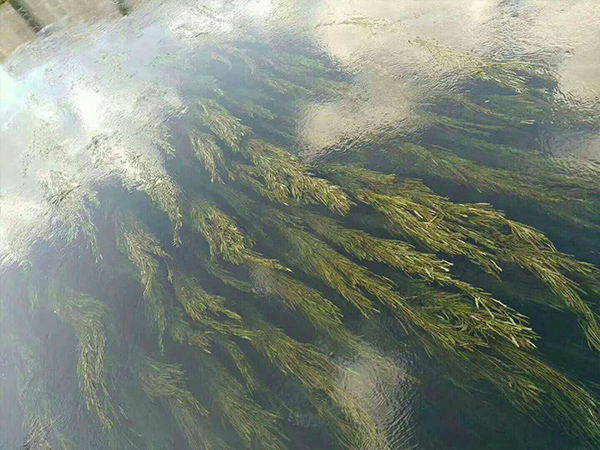 �ۺ��Ȼ��X�ȃ�ˮˎ�����ӵ�������Ч��չʾ